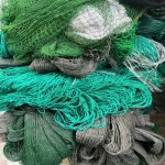 luoi-gian-day-leo (1).jpg