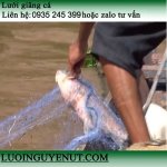 luoi-giang-ca-***-luoinguyenut (4).jpg