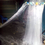 luoi-ca-long-tong (2).png