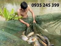 df1368cc41cd446bdde3954e617adffb.jpg