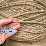 Day-bo-day-thung-day-day (10).jpg