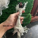 day-du-son-nuoc-3-da-phi-18 (3).jpg