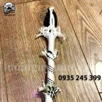 day-du-toa-nha; day-cuong-luc; day-du-lau-kinh 4.jpg